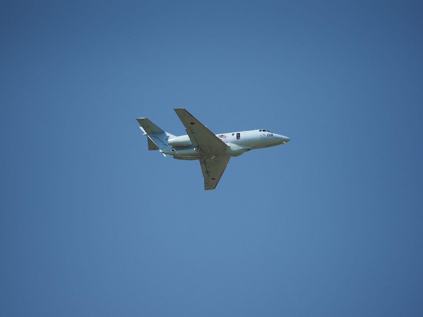 PA252235.jpg