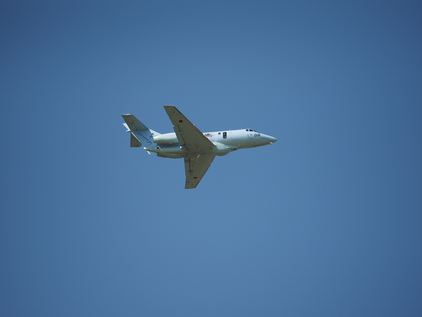 PA252238.jpg
