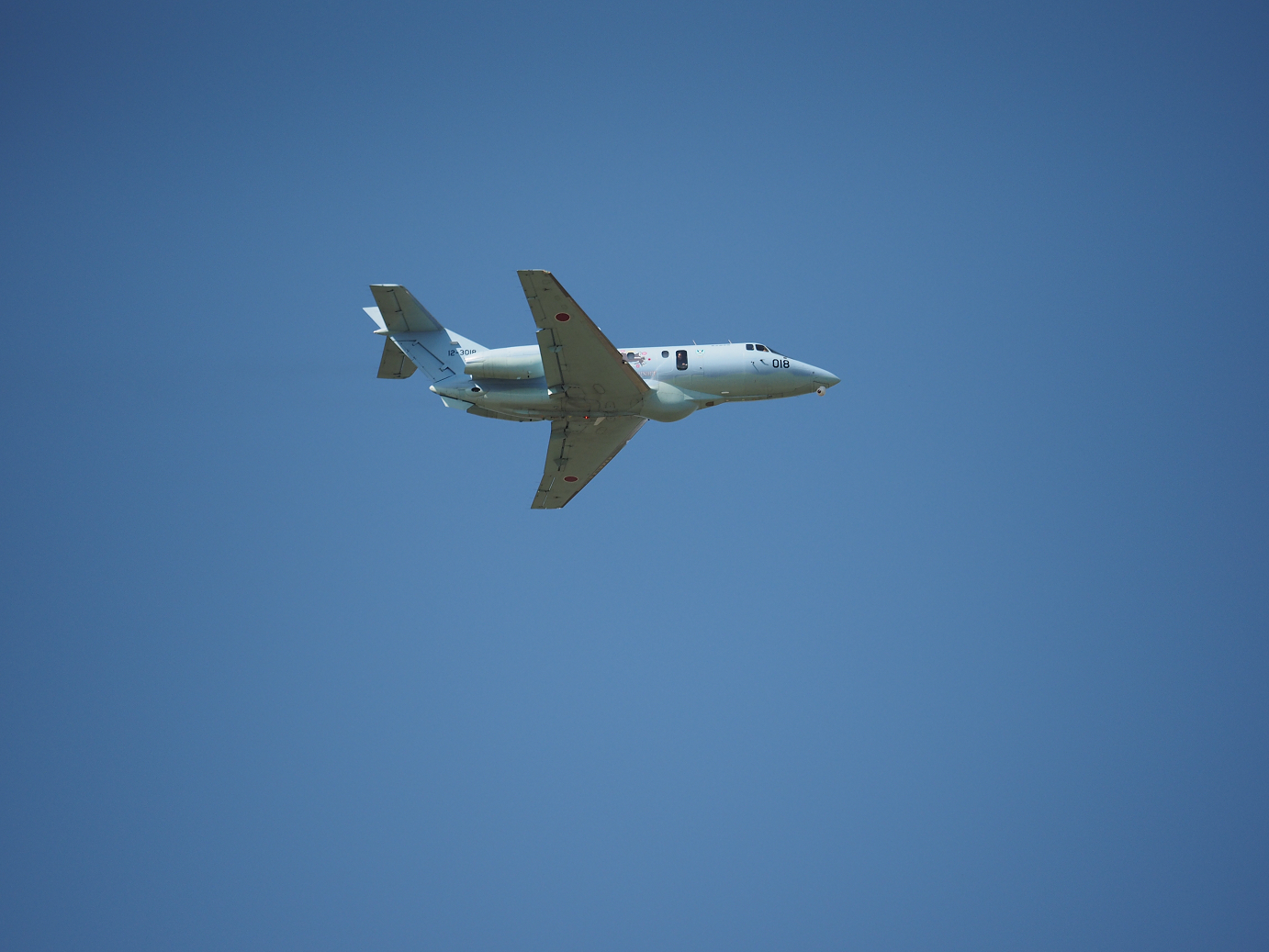 PA252243.jpg