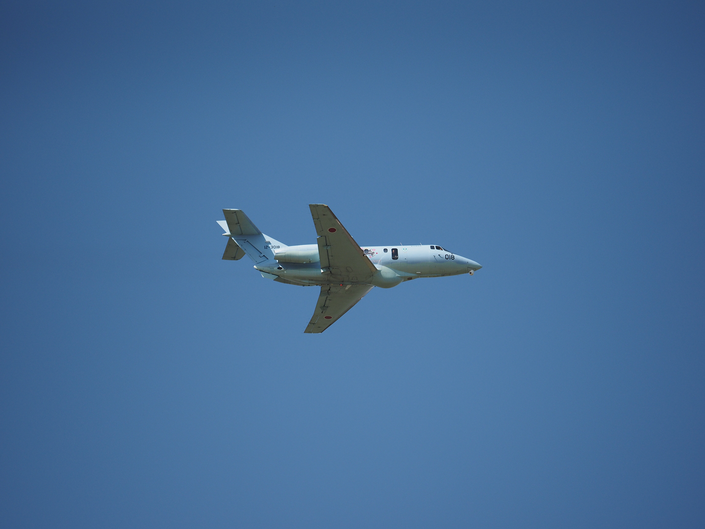 PA252245.jpg