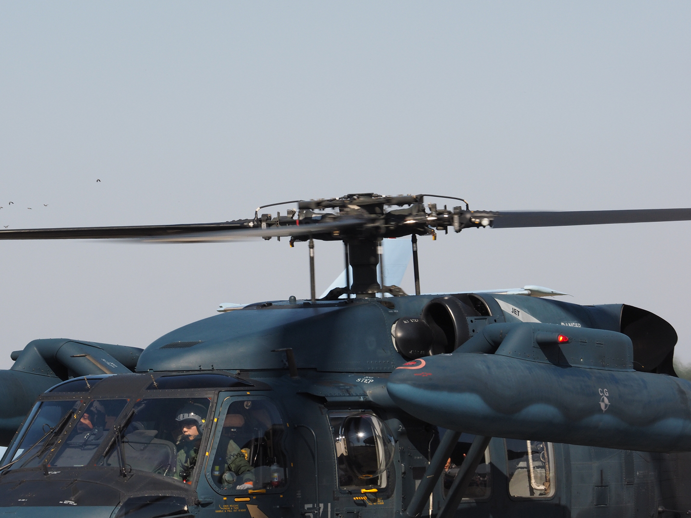 PA252460.jpg