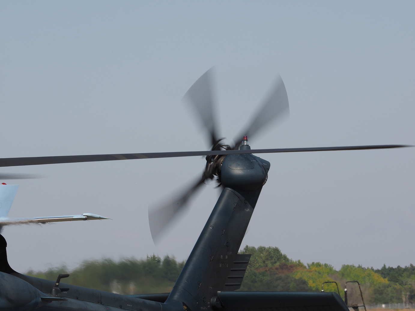 PA252462.jpg