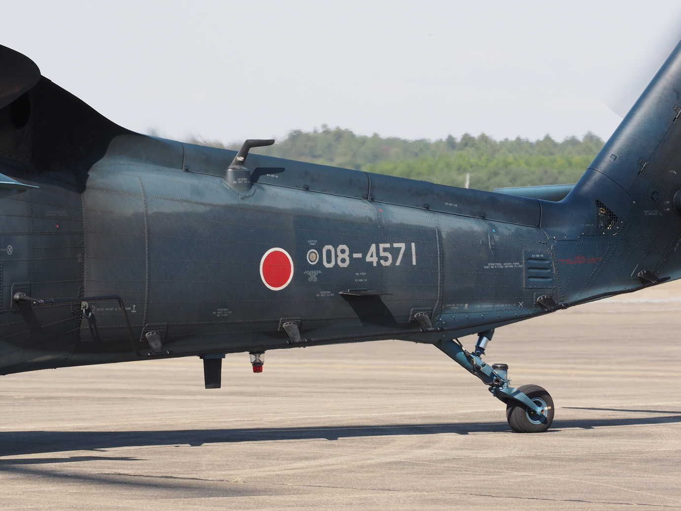 PA252486.jpg