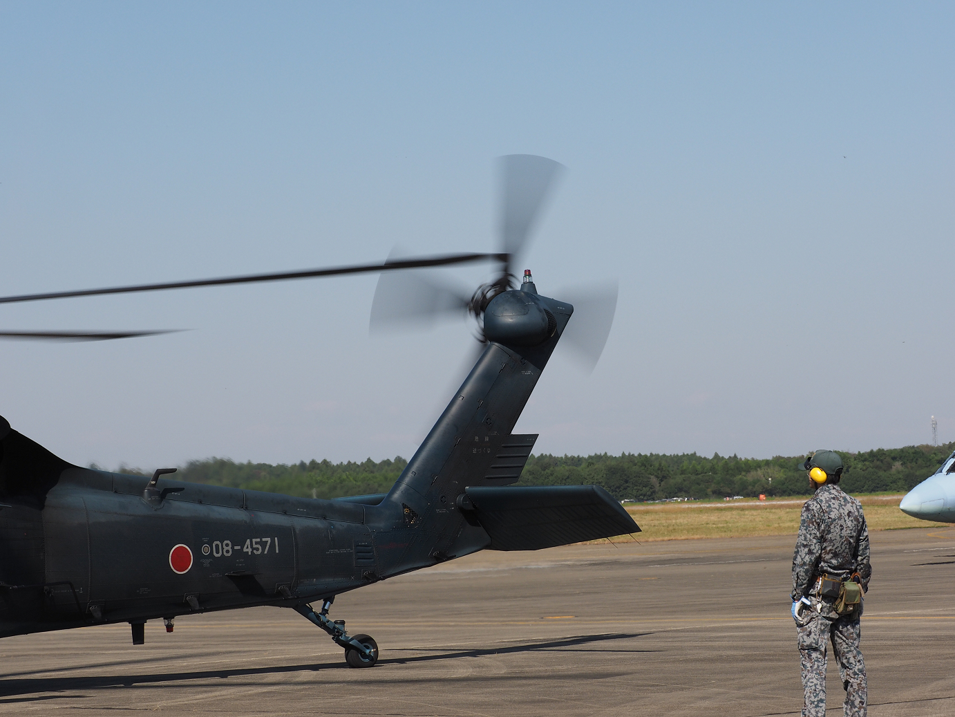 PA252488.jpg