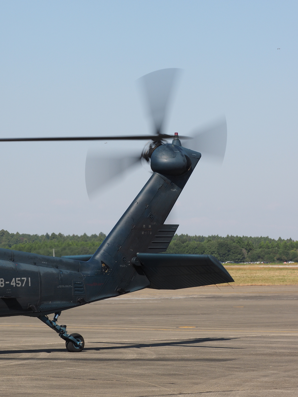 PA252492.jpg