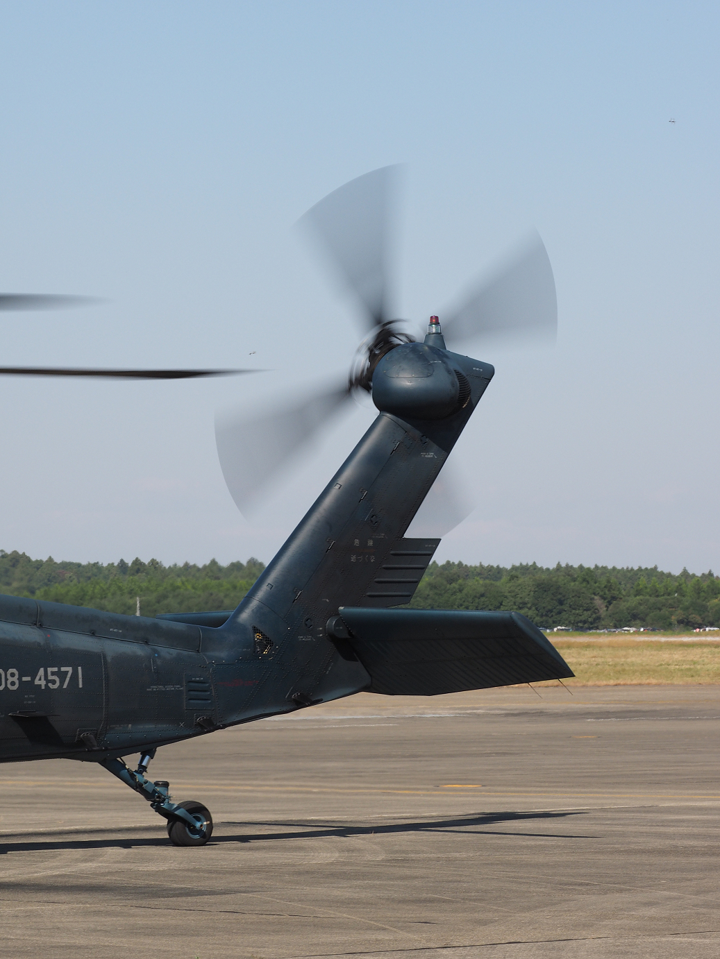 PA252493.jpg