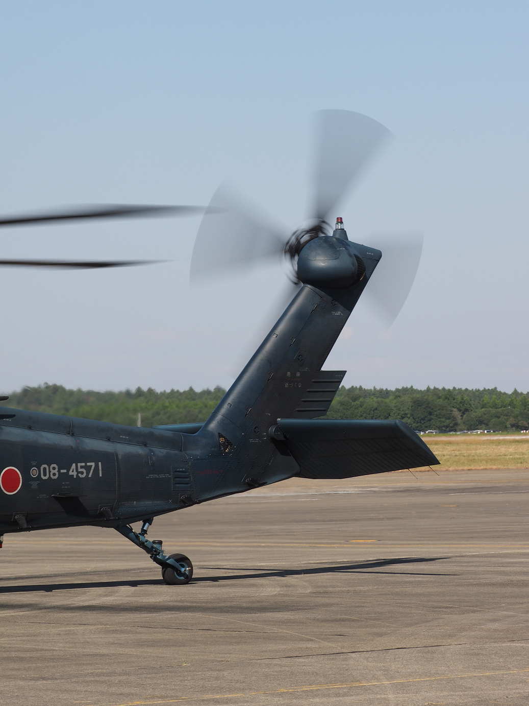 PA252499.jpg