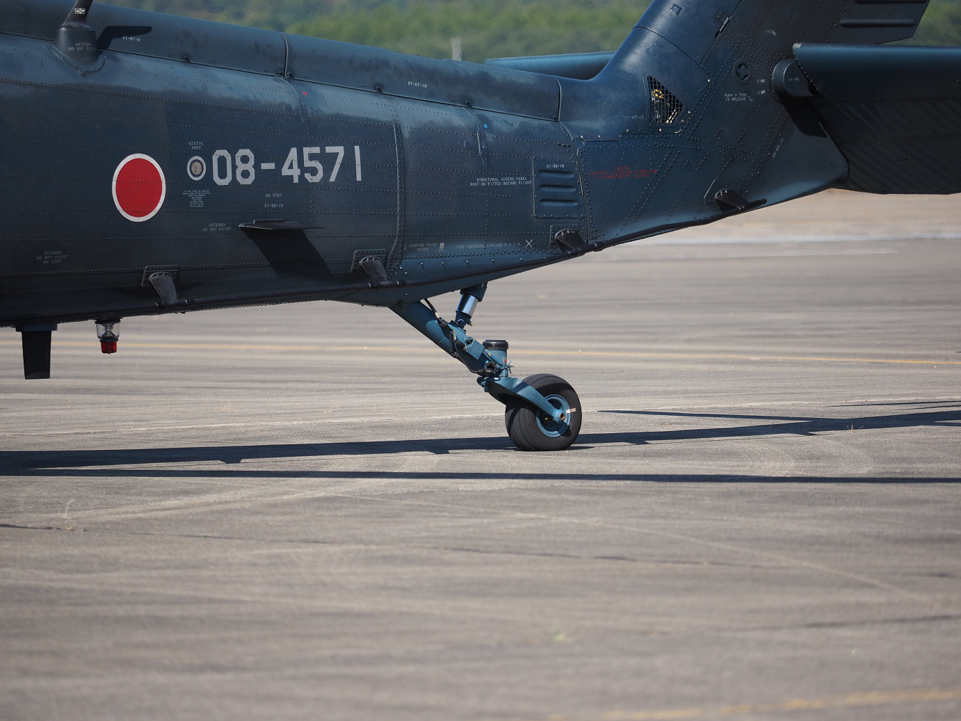 PA252519.jpg