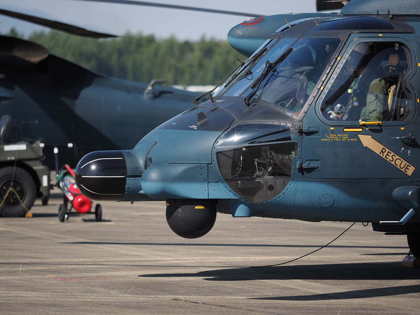 PA252523.jpg