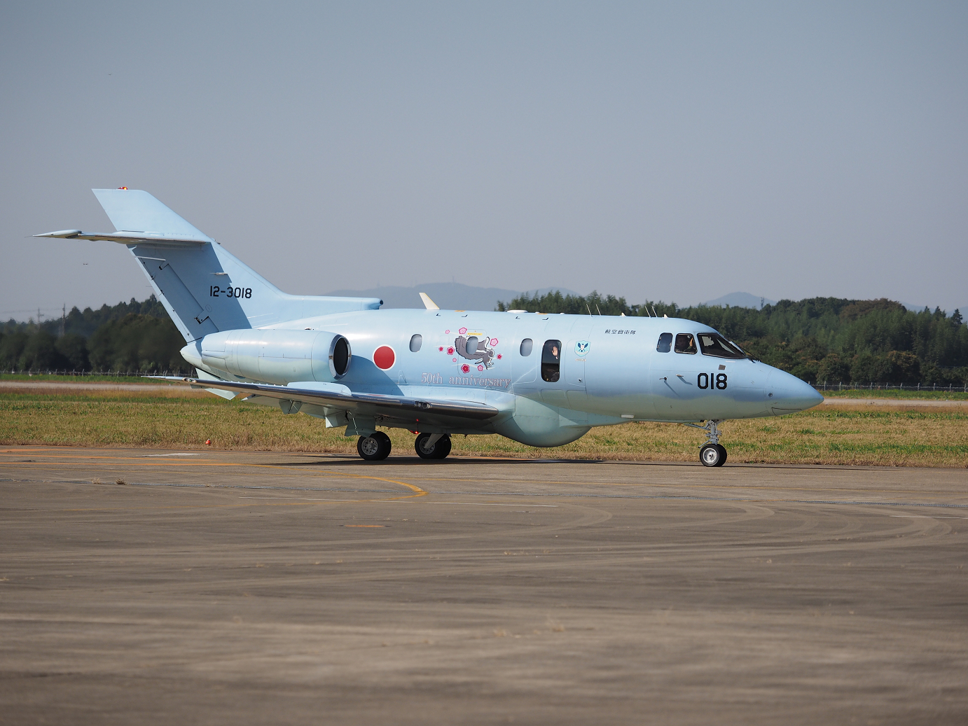 PA252525.jpg