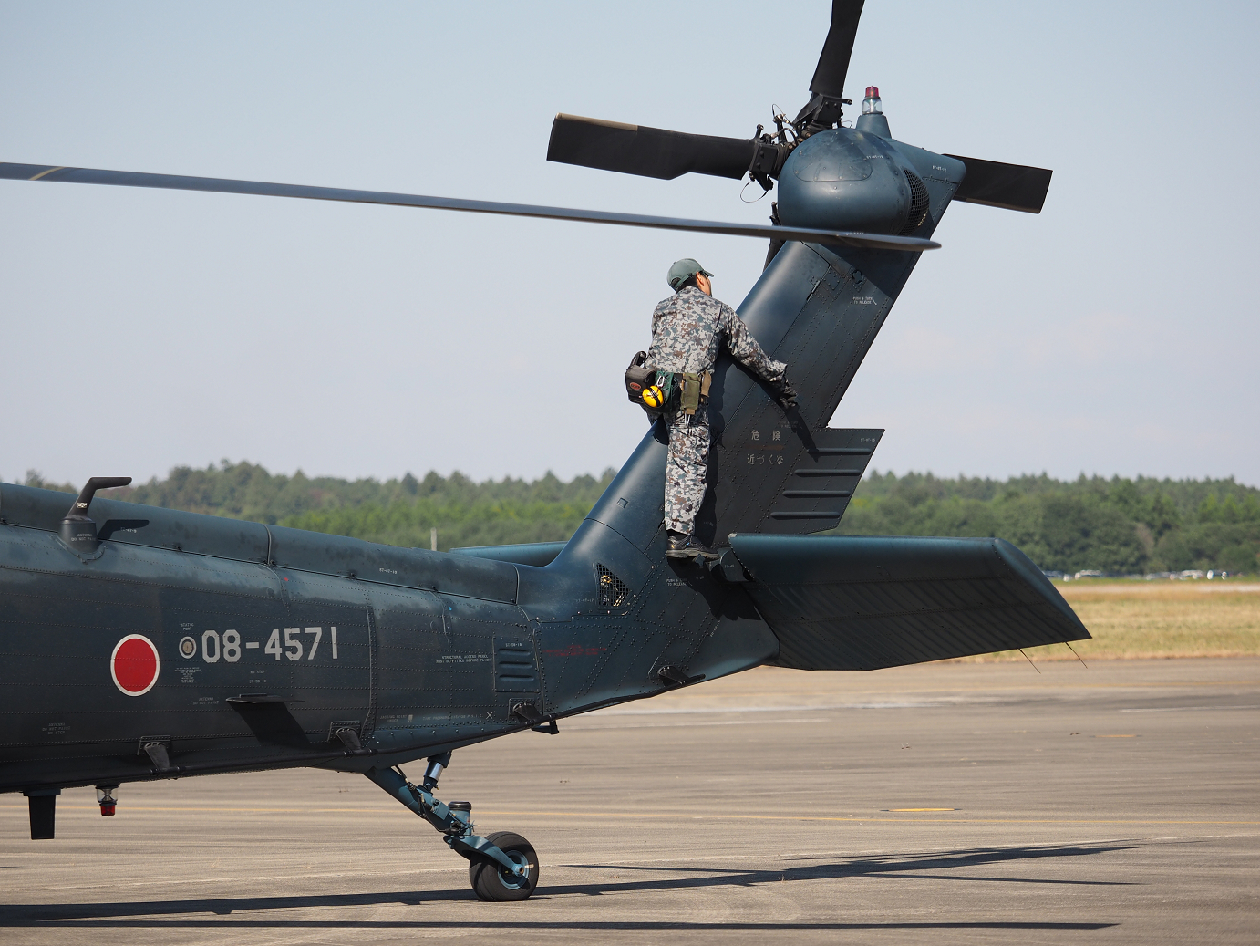 PA252553.jpg