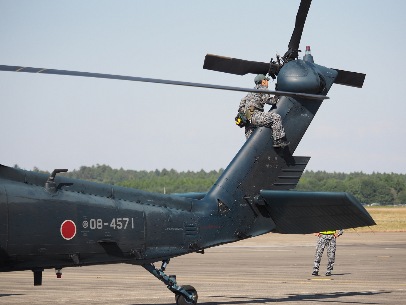 PA252554.jpg