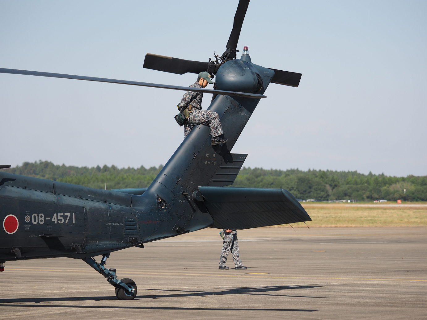 PA252555.jpg