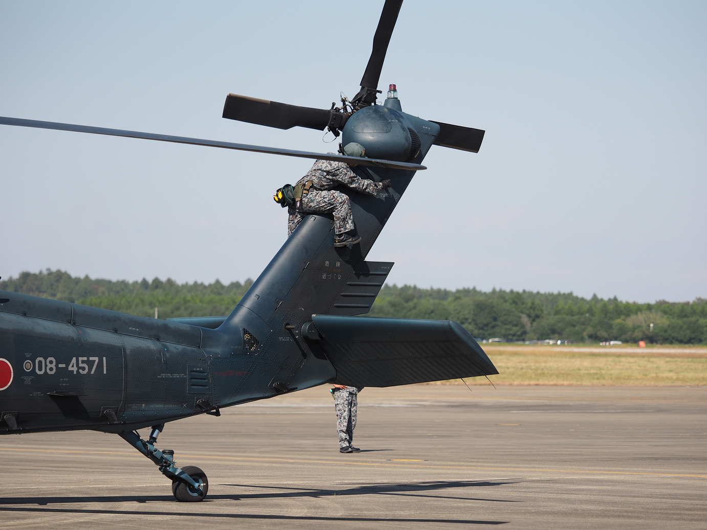 PA252556.jpg