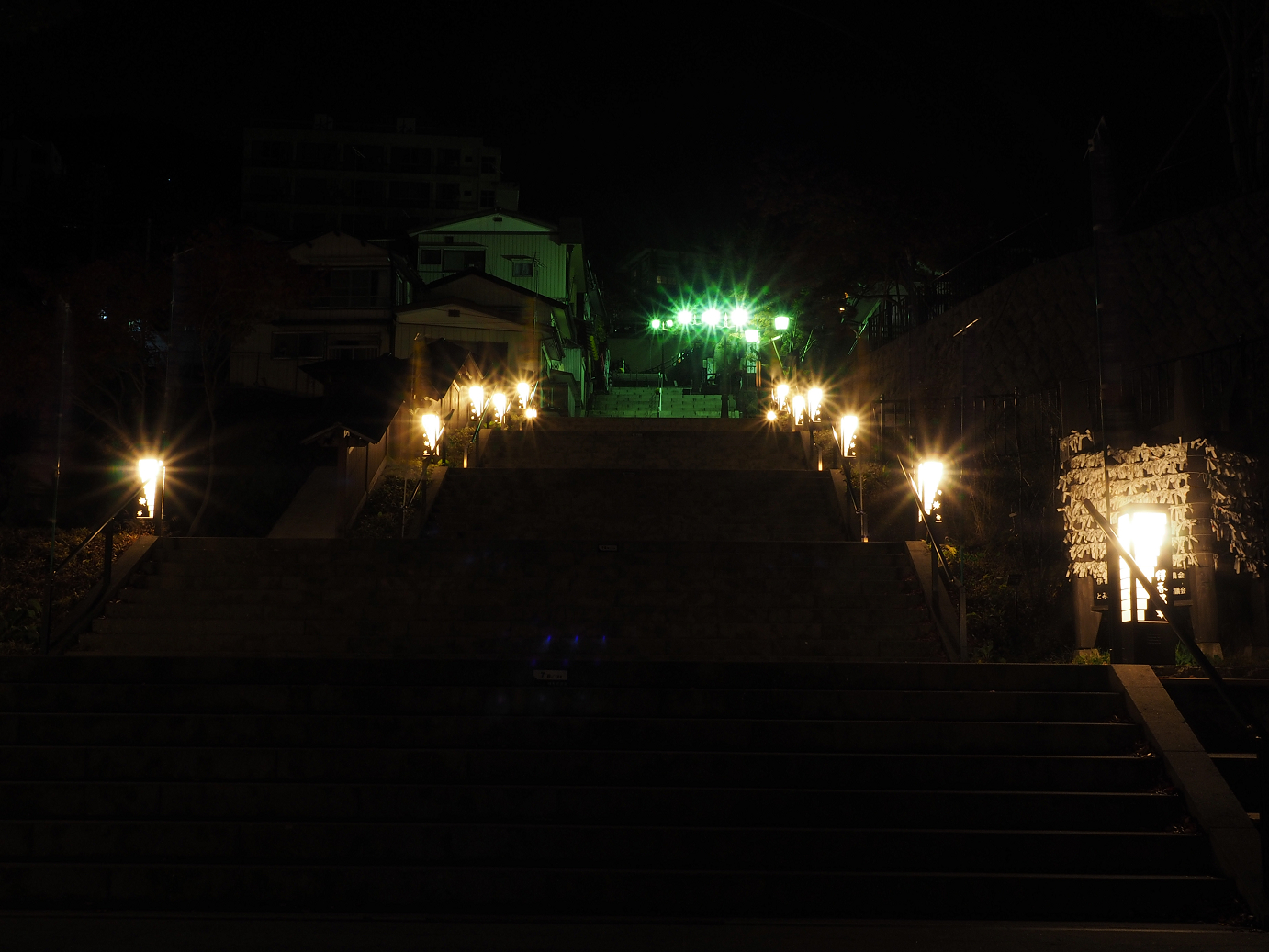 PA310051.jpg