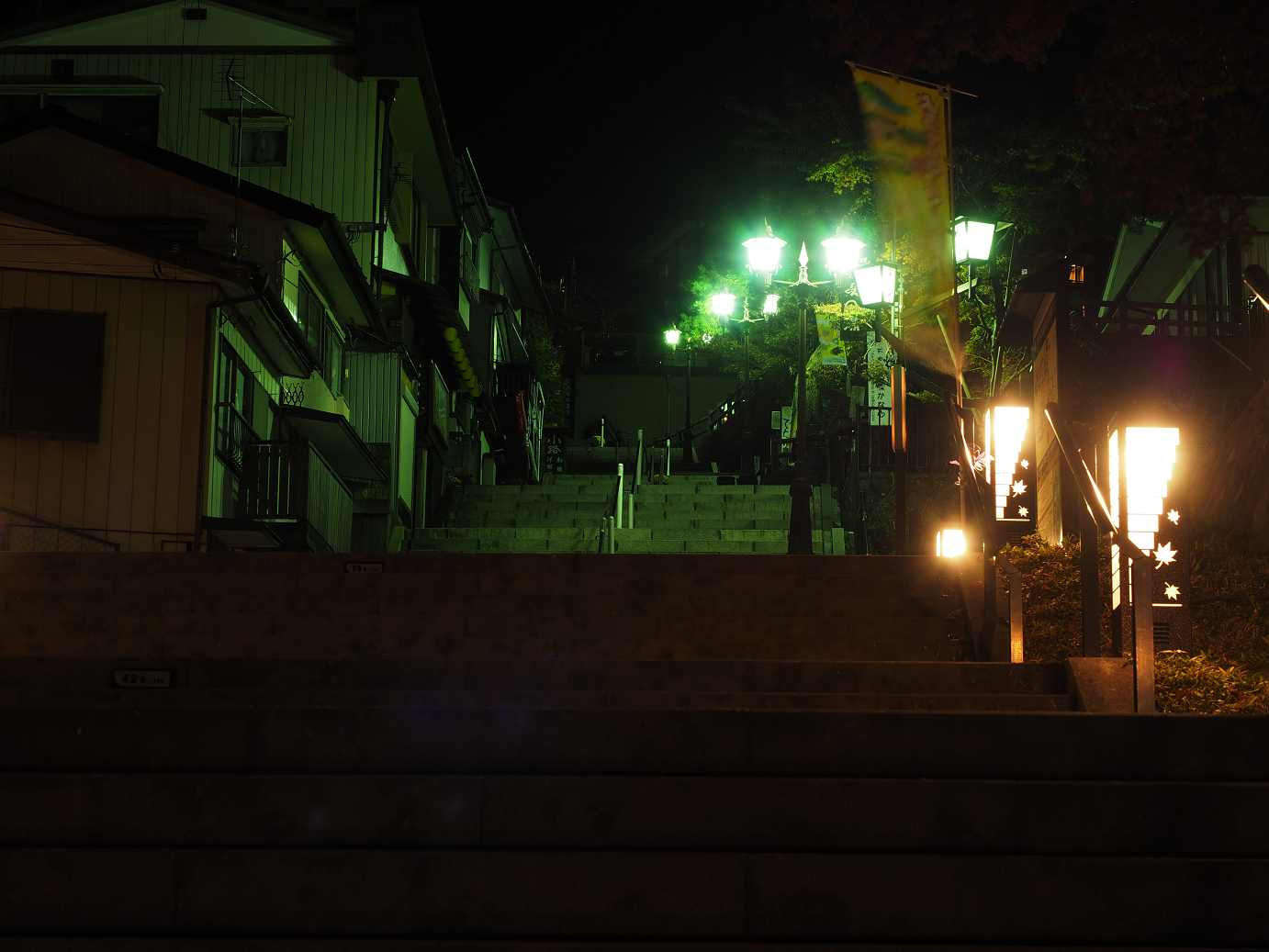 PA310053.jpg