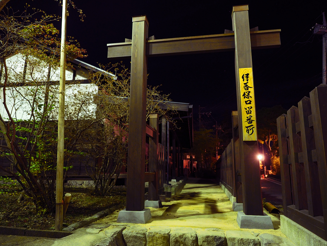 PA310055.jpg