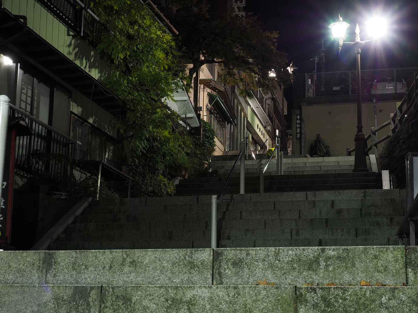 PA310059.jpg
