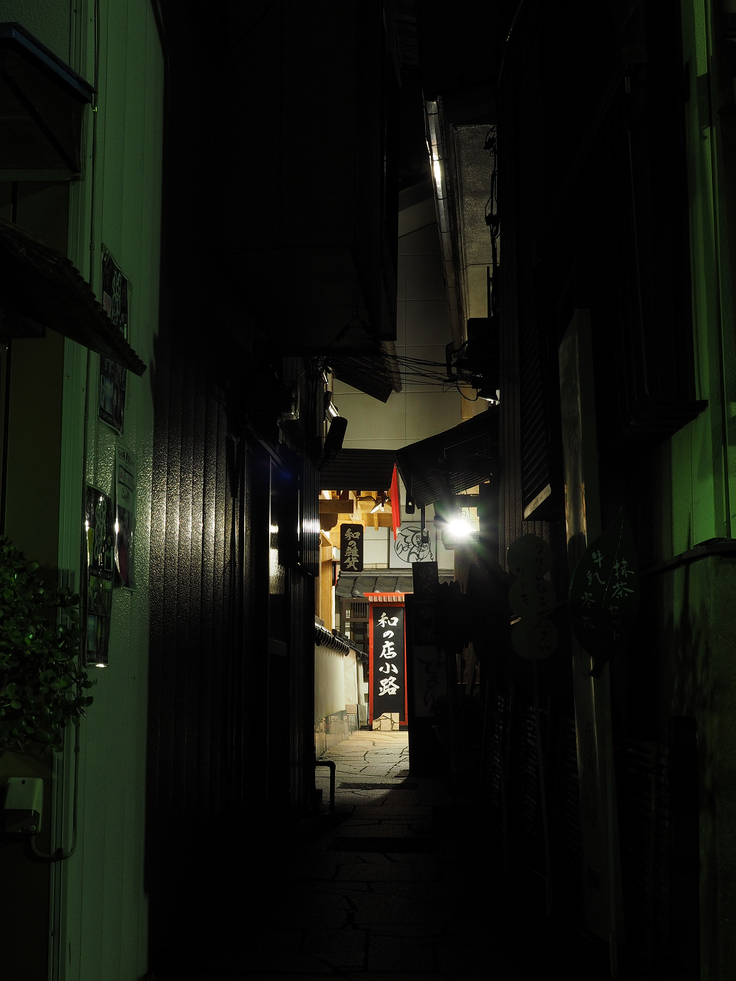 PA310066.jpg