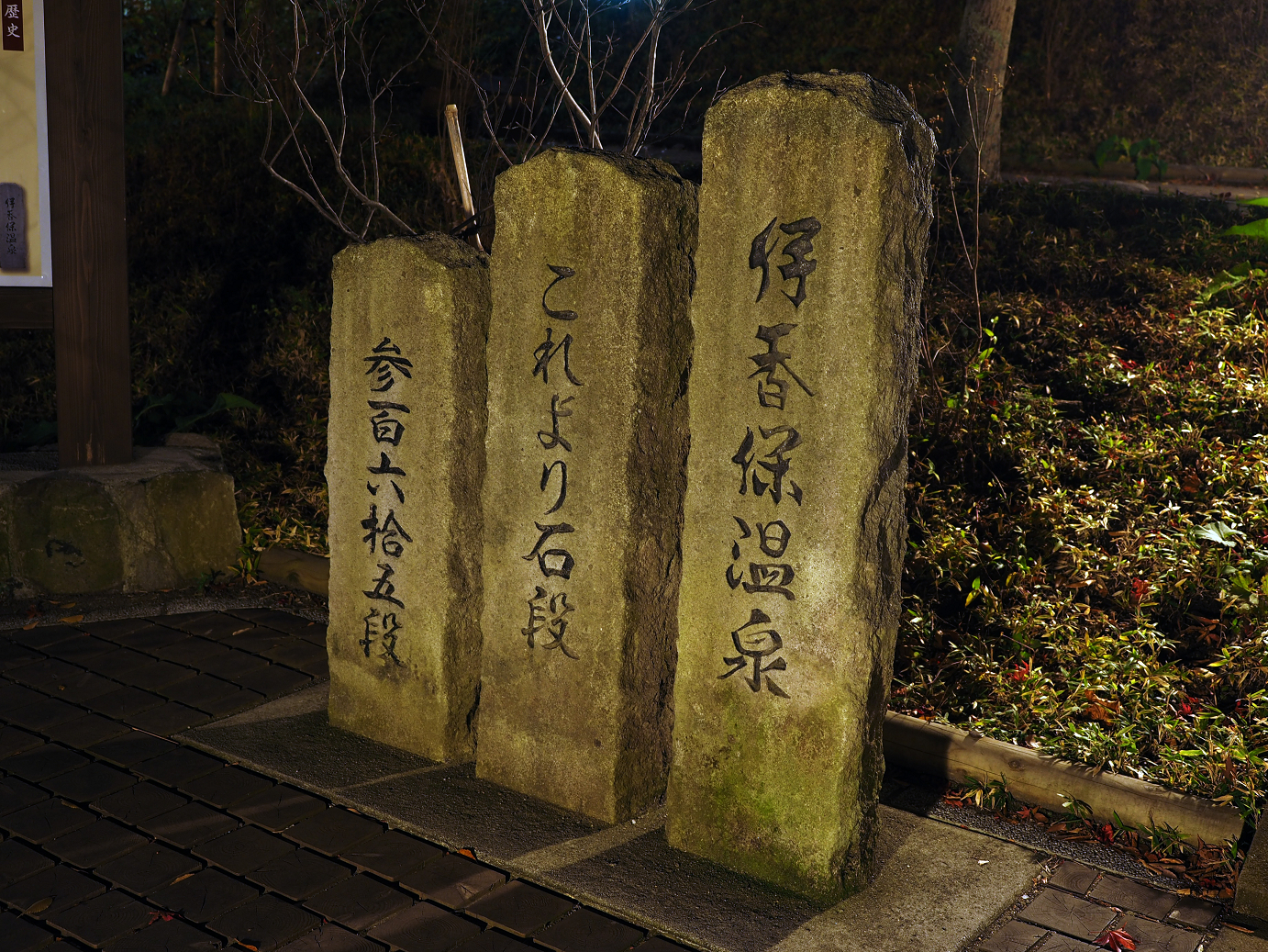 PA310072.jpg