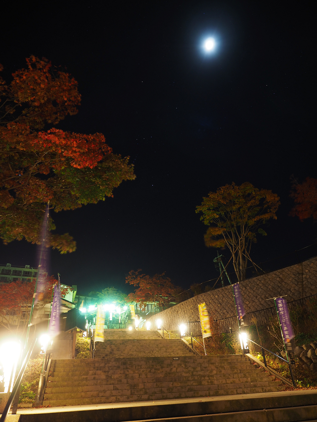 PA310073.jpg