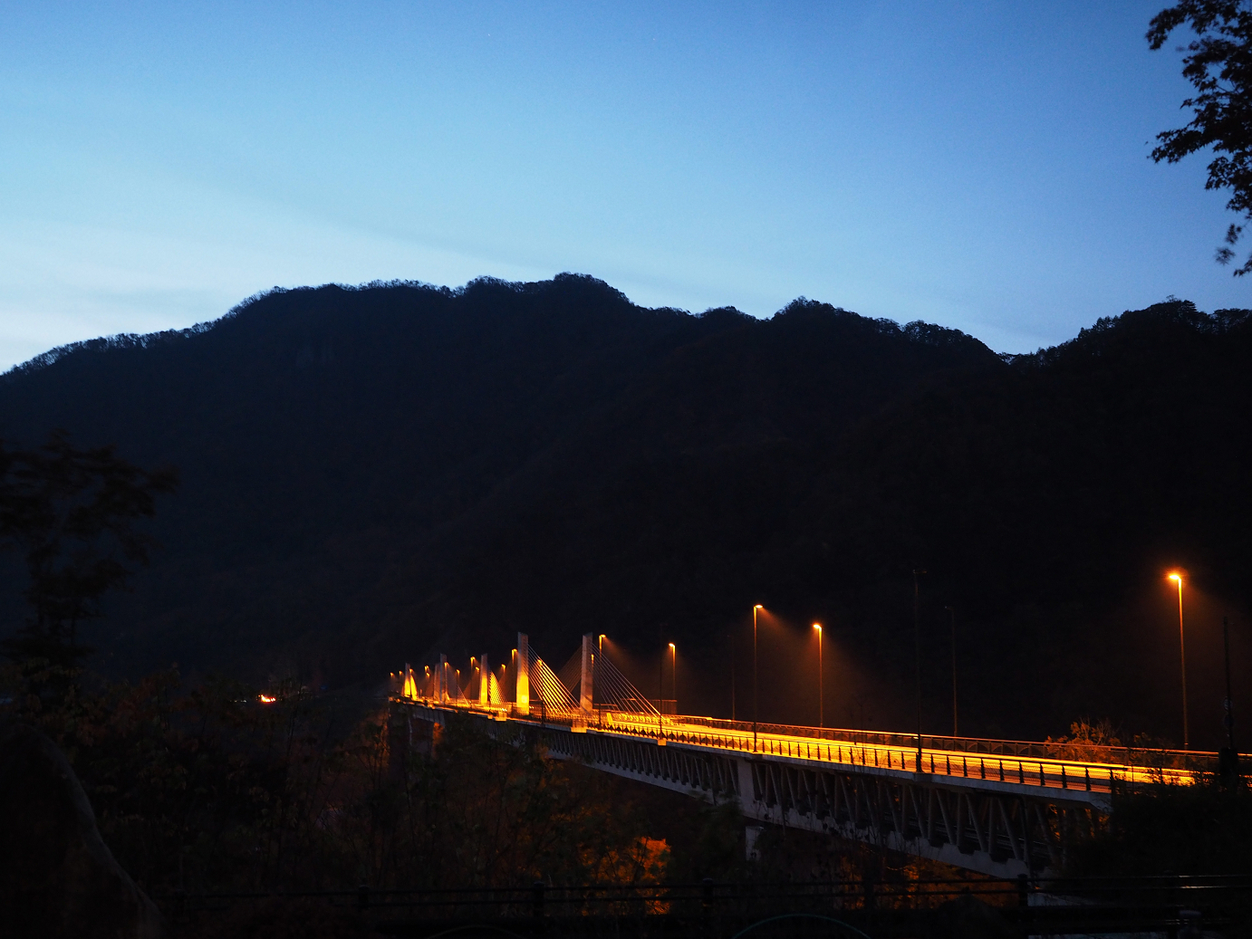 PA310082.jpg