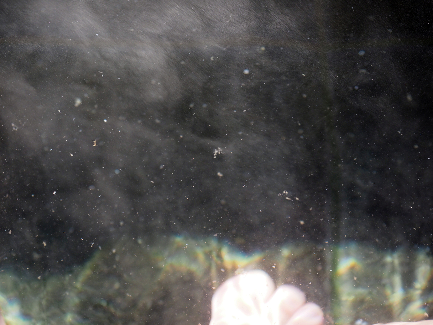 PA310092.jpg