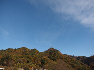 PA310101_thumb.png