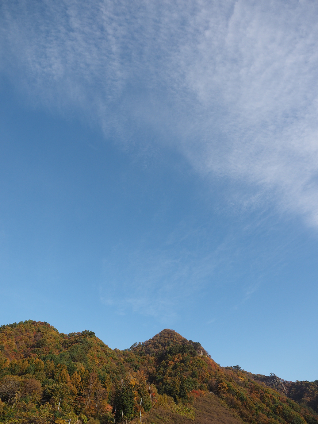 PA310102.jpg