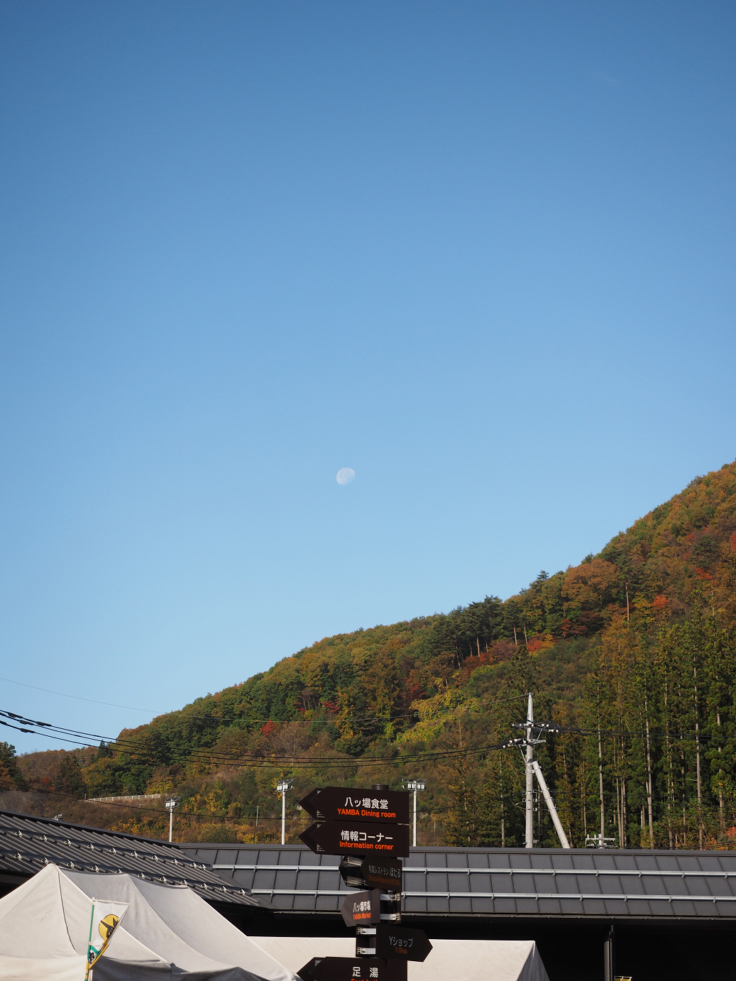 PA310105.jpg