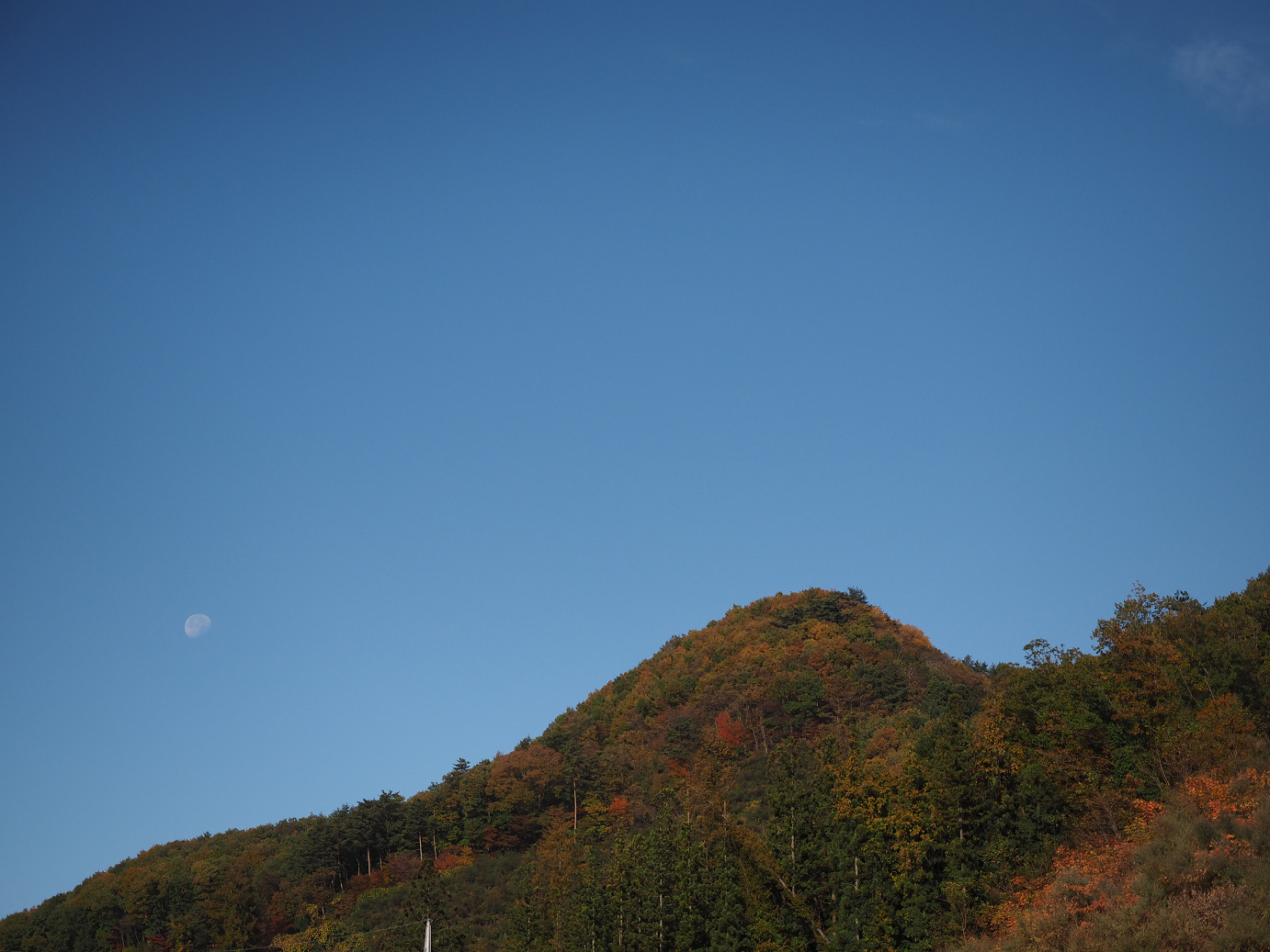 PA310107.jpg