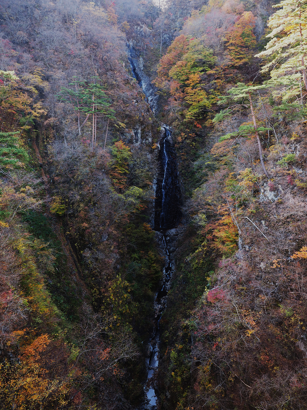 PA310128.jpg