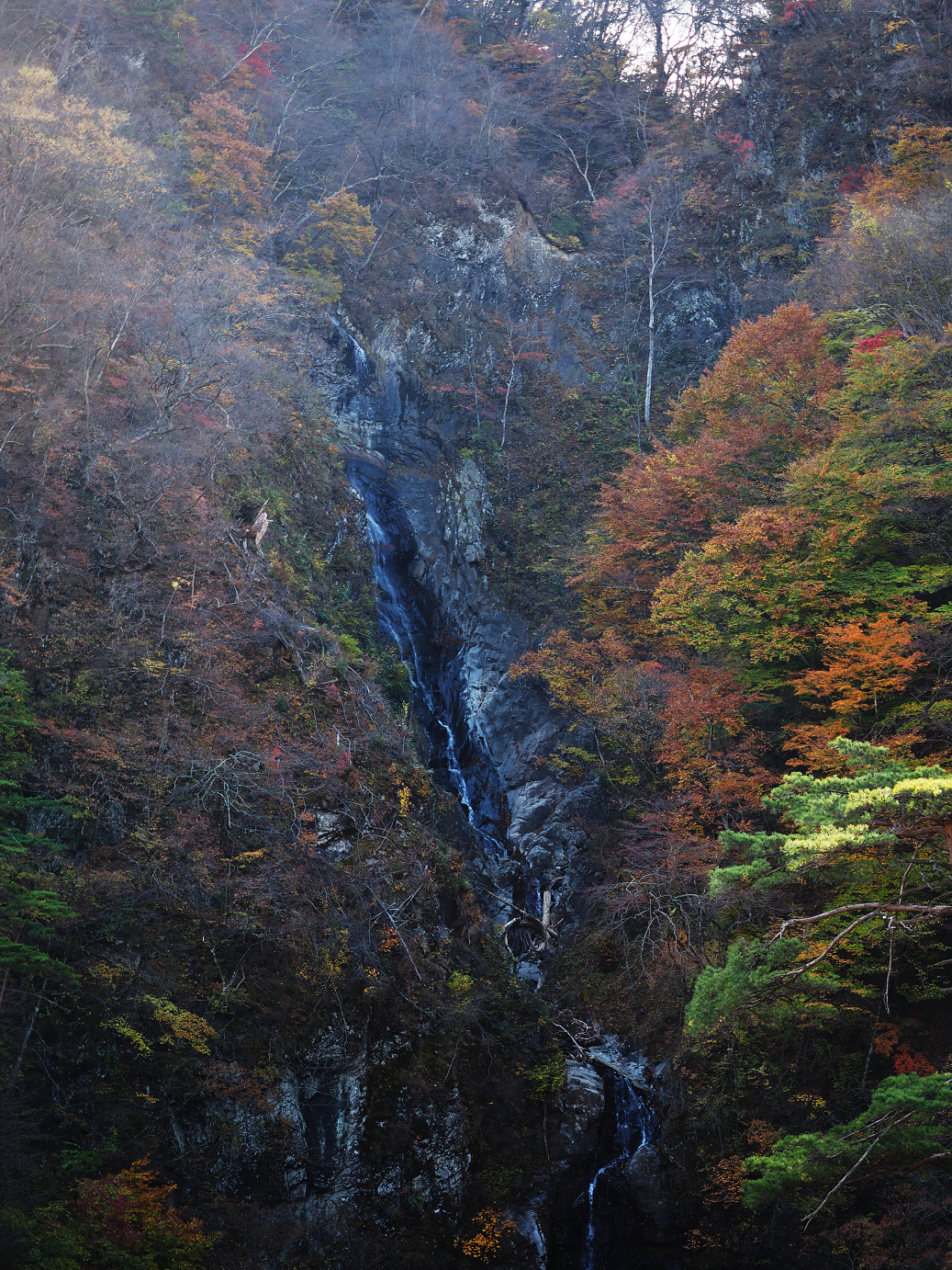 PA310130.jpg
