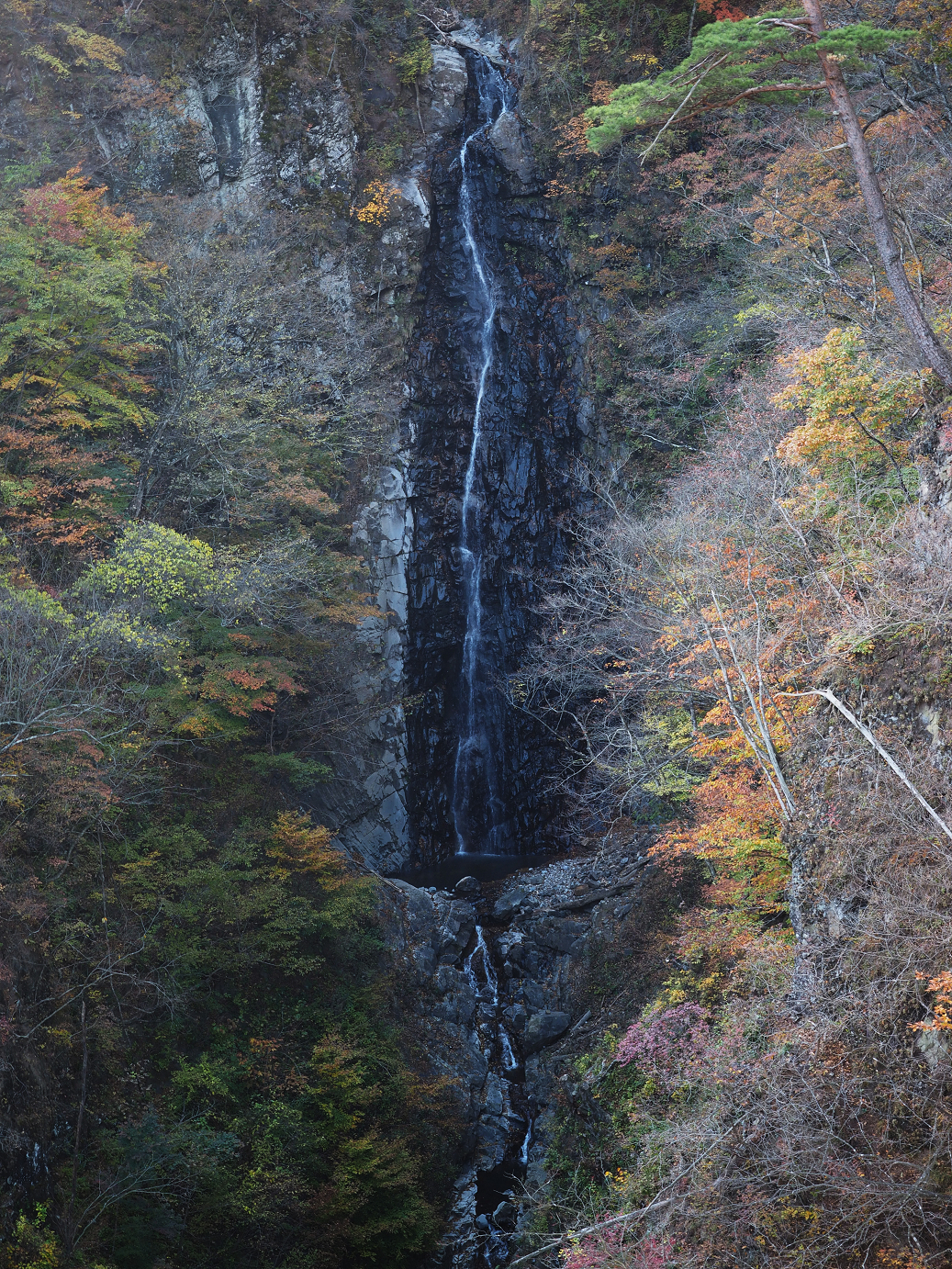 PA310131.jpg