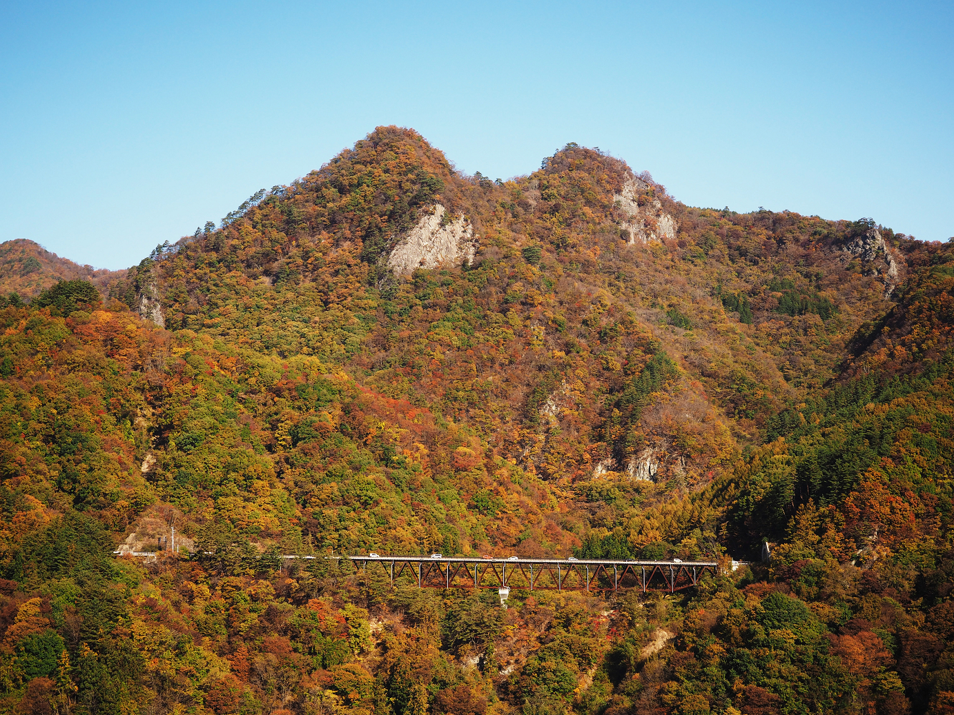 PA310137.jpg