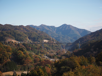 PA310138_thumb.png
