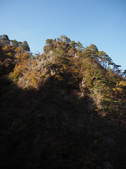 PA310145_thumb.png