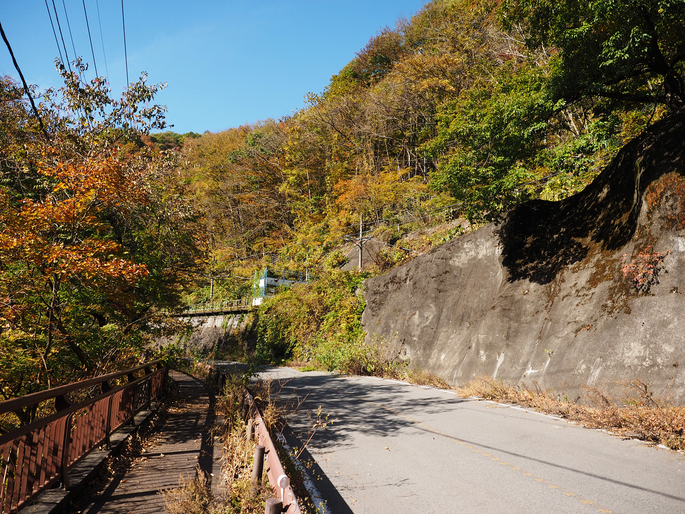 PA310146.jpg