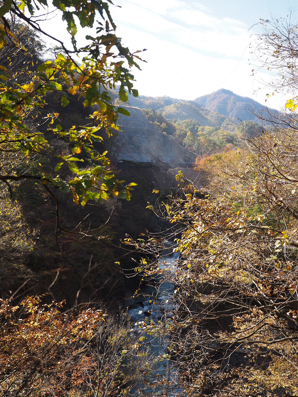 PA310147.jpg