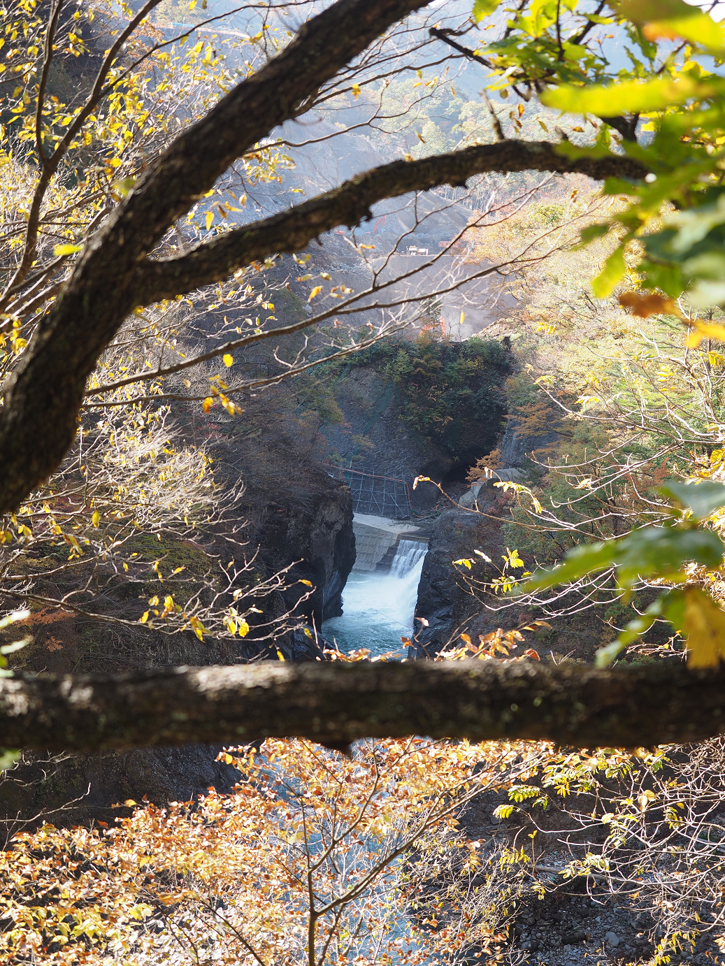 PA310149.jpg