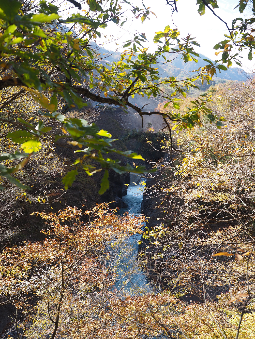 PA310150.jpg