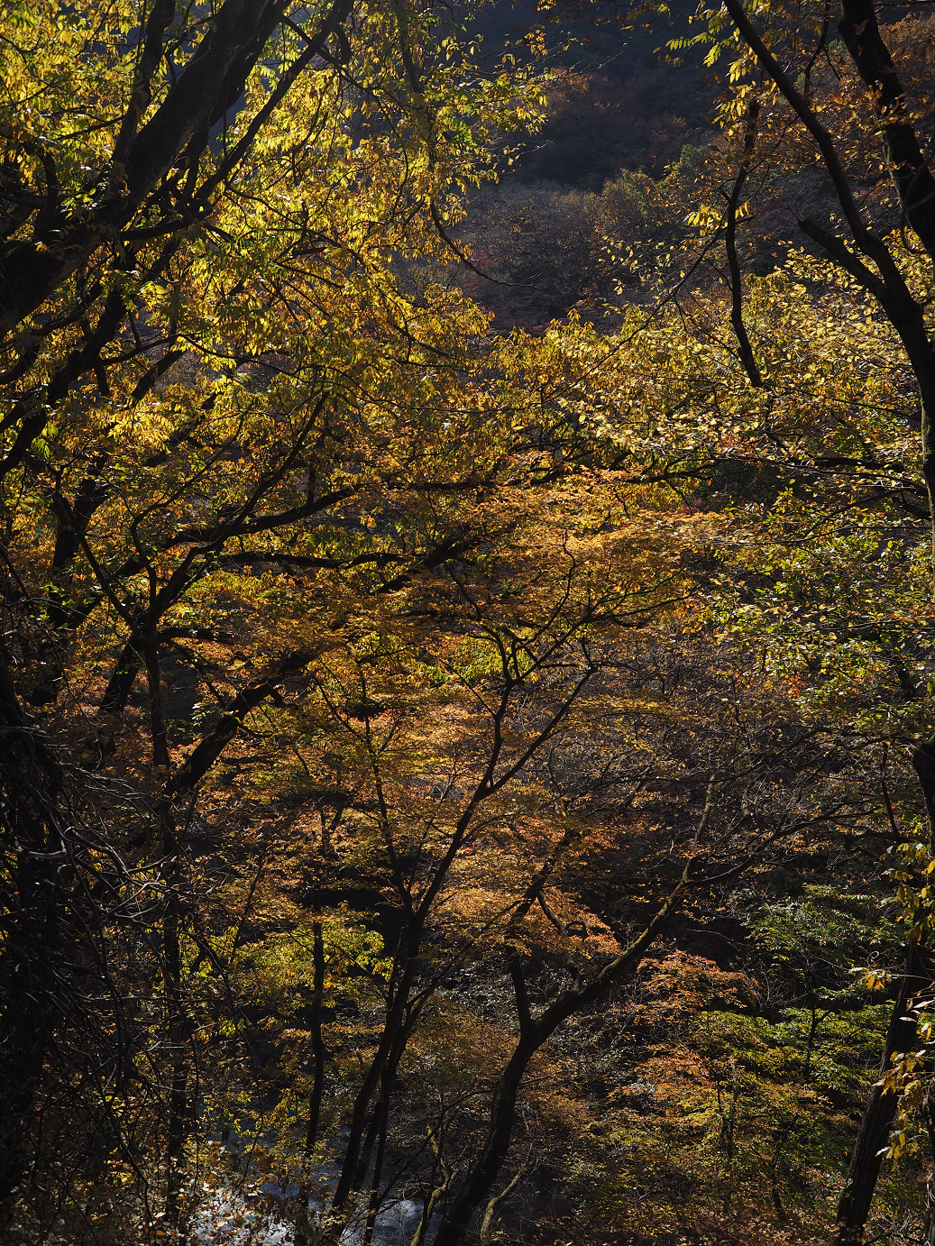 PA310152.jpg