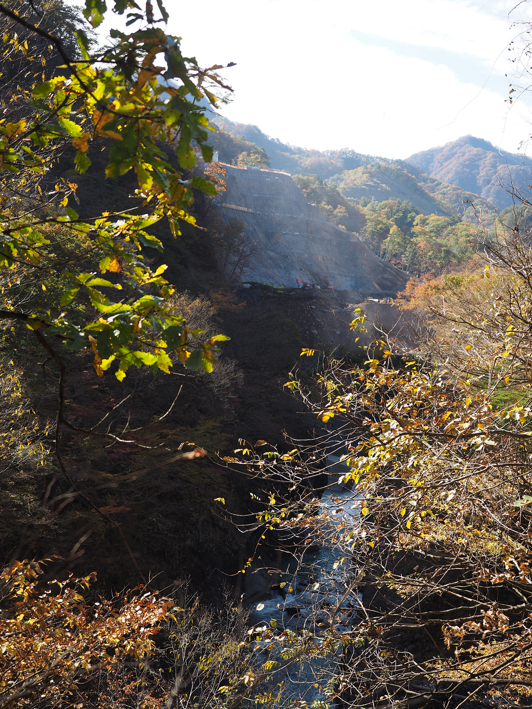 PA310155.jpg