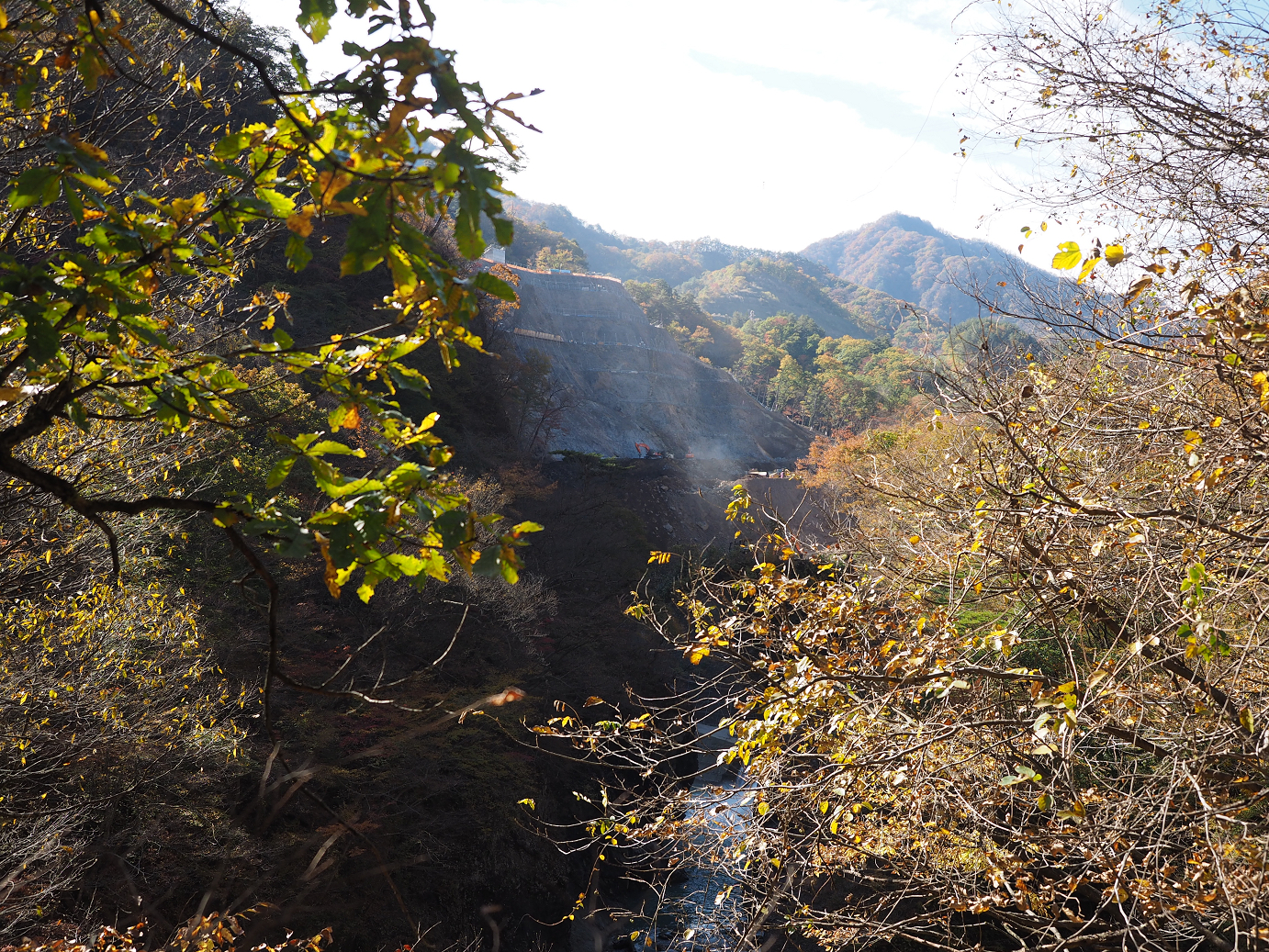 PA310156.jpg