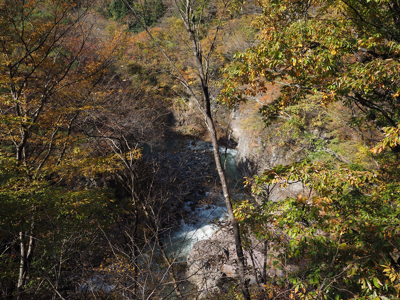 PA310159.jpg