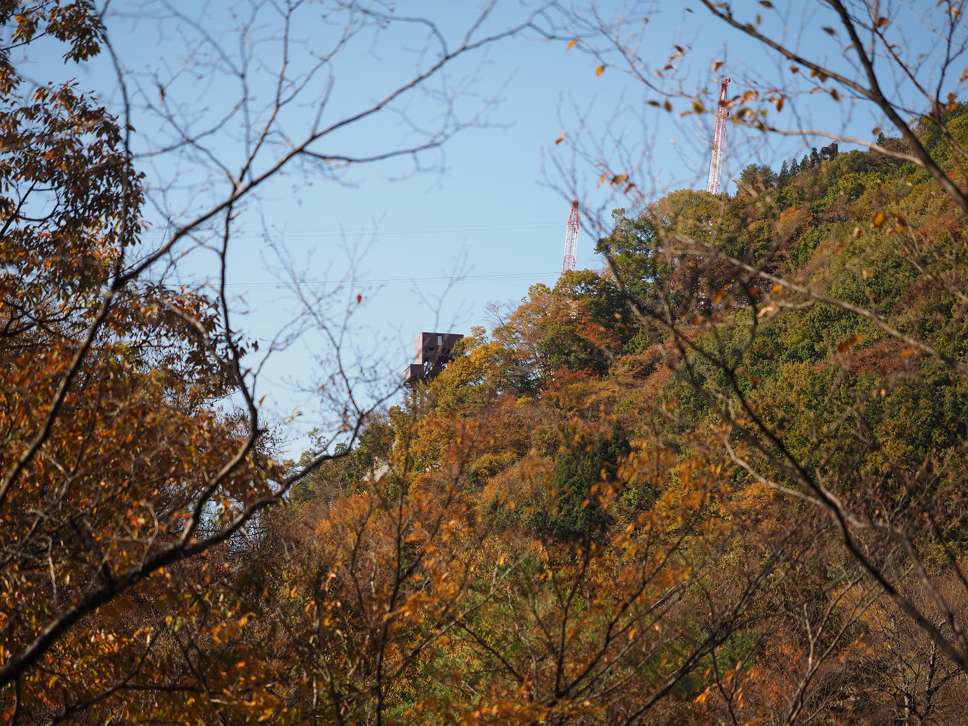 PA310160.jpg