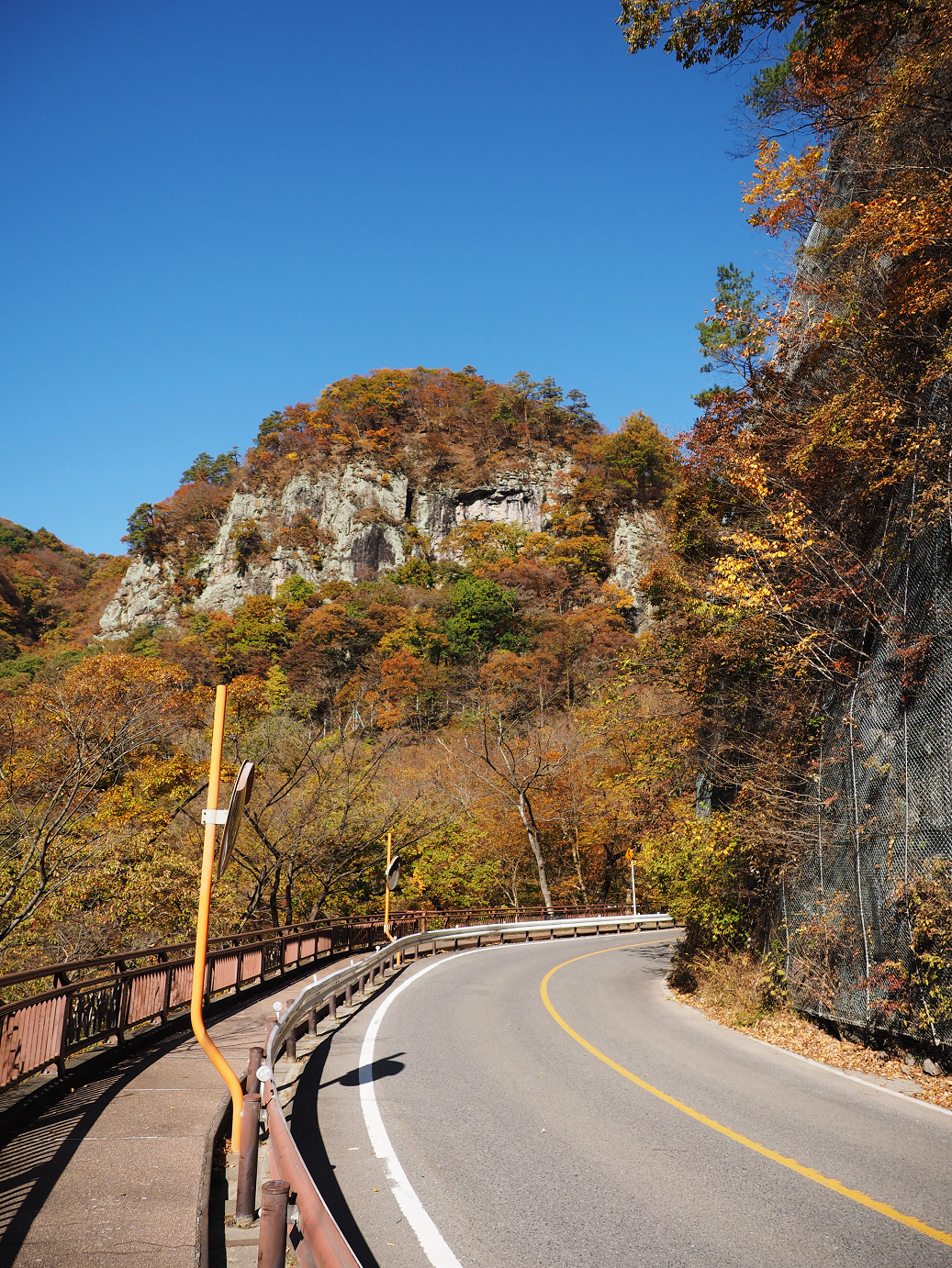 PA310161.jpg