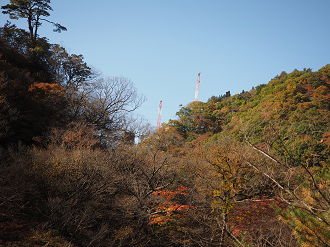 PA310163_thumb.png