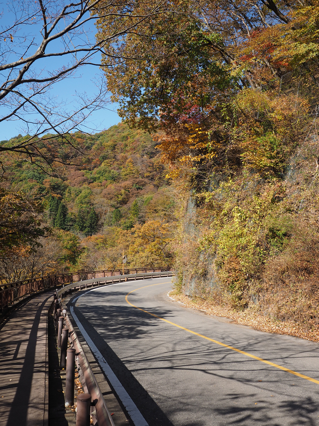 PA310164.jpg