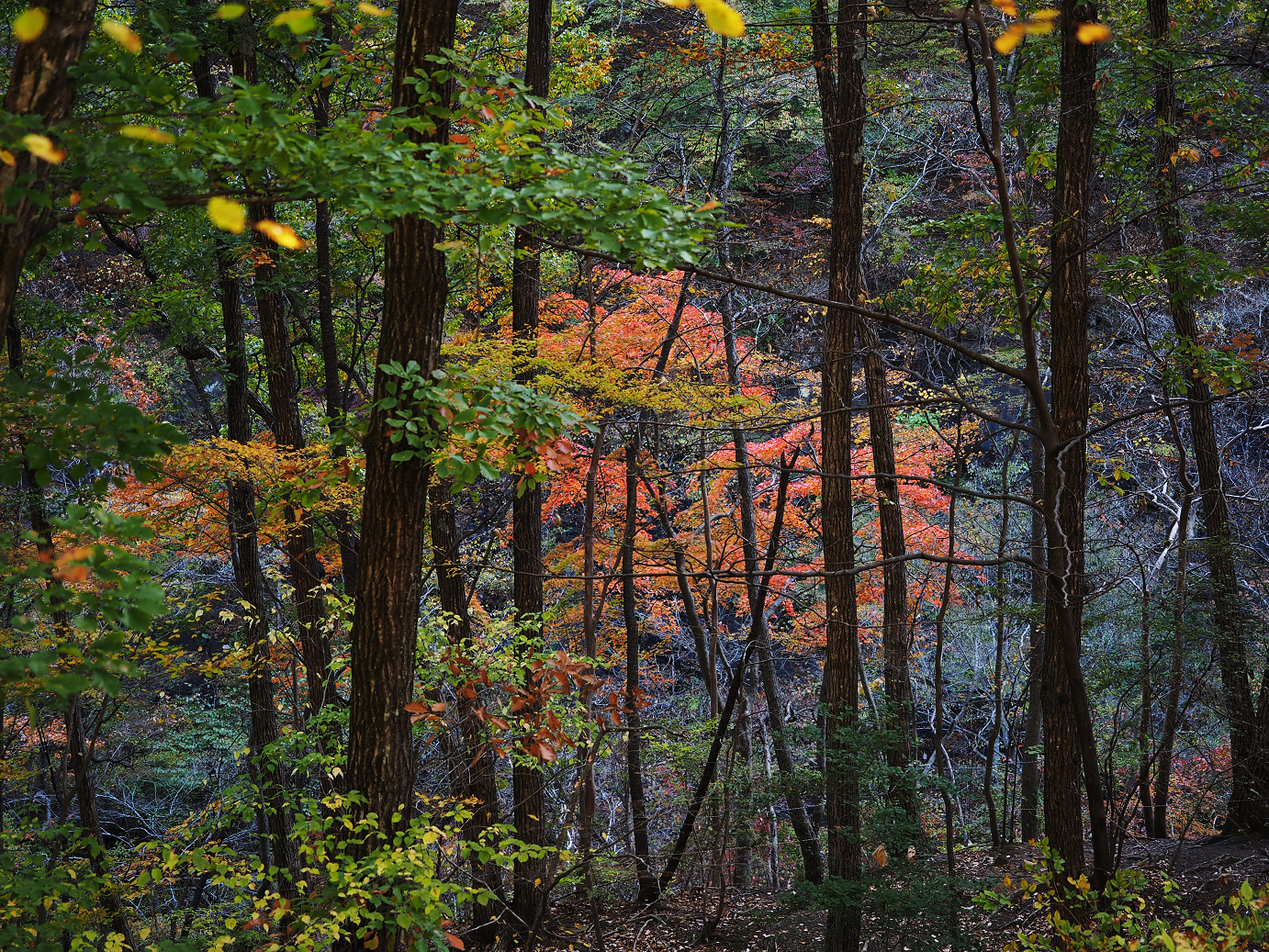 PA310165.jpg